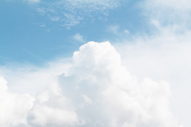 do electric cars pay congestion charge